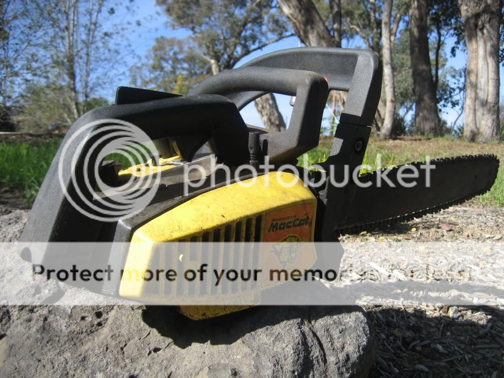 [Linked Image from i395.photobucket.com]