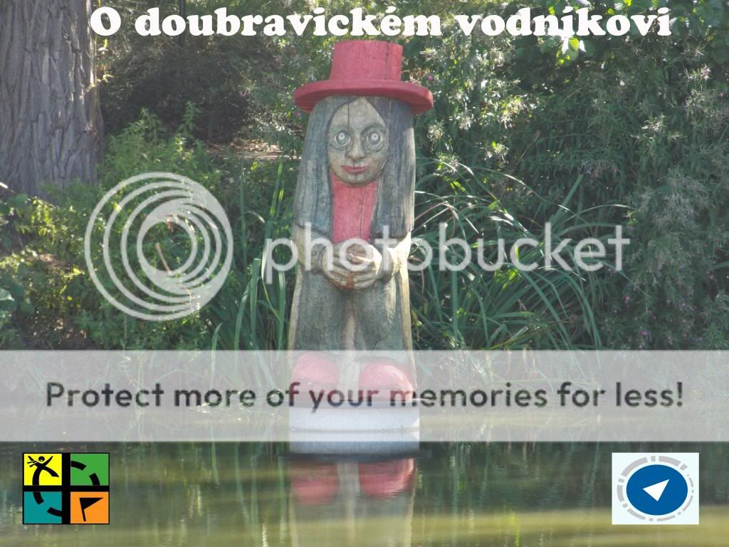 Tropický motýl
