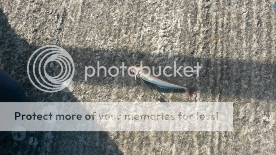 2014-05-26%2019.18.11.jpg