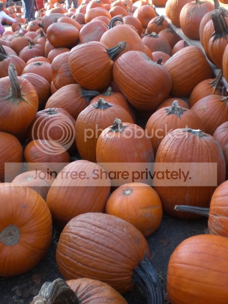  photo FallFun081.jpg