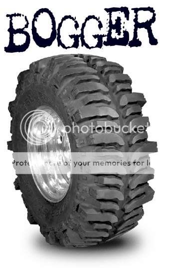 http://i395.photobucket.com/albums/pp35/Floridasun4e/tslBOGGERLOGOPIC.jpg?t=1223322056