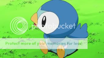 026.jpg Piplup image by Blaze-Infernape
