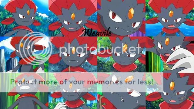 weavile wallpaper