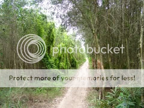 P1240734.jpg picture by backpackervn