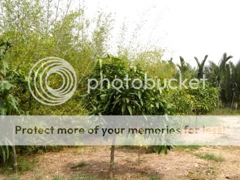 P1240736.jpg picture by backpackervn