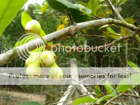 P1240739.jpg picture by backpackervn