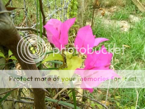 P1240741.jpg picture by backpackervn