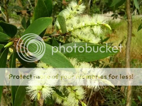 P1240755.jpg picture by backpackervn