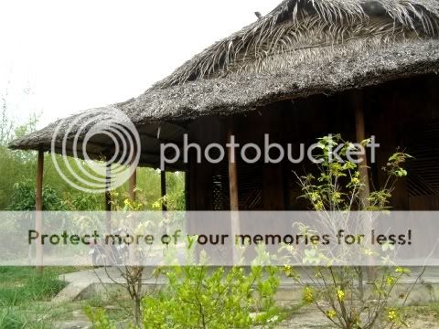 P2040807.jpg picture by backpackervn