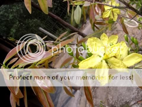 P2040813.jpg picture by backpackervn