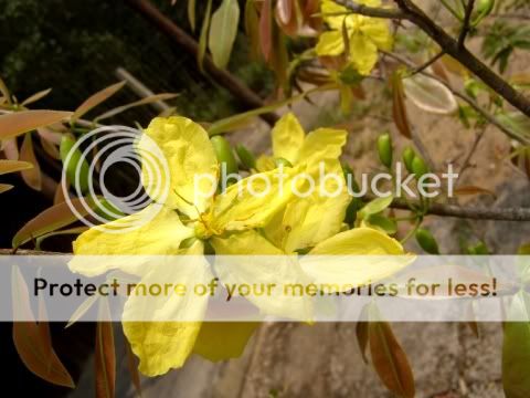 P2040814.jpg picture by backpackervn