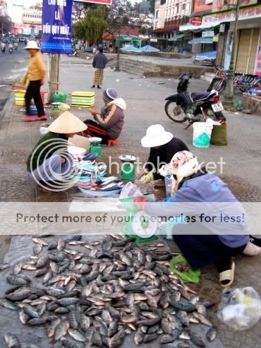 P3180065.jpg picture by backpackervn