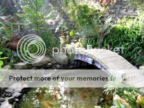 P3180130.jpg picture by backpackervn