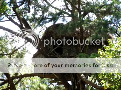 P3180161.jpg picture by backpackervn