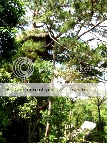 P3180163.jpg picture by backpackervn