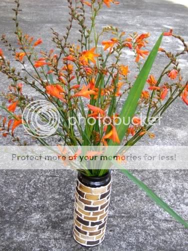 P3190202.jpg picture by backpackervn