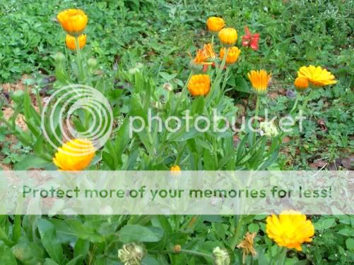 P3190215.jpg picture by backpackervn