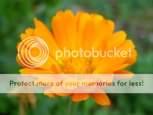 P3190216.jpg picture by backpackervn