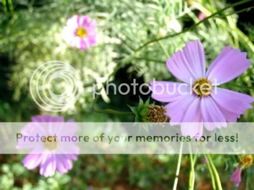 P3190219.jpg picture by backpackervn