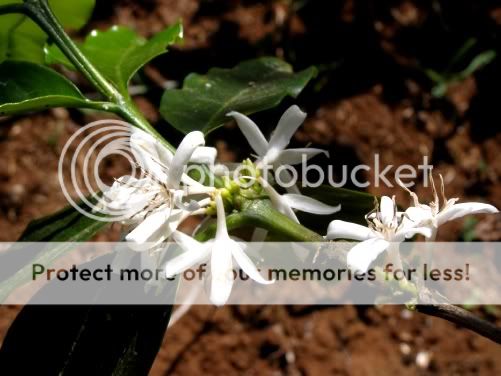 P3190231.jpg picture by backpackervn