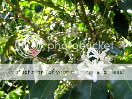 P3190234.jpg picture by backpackervn