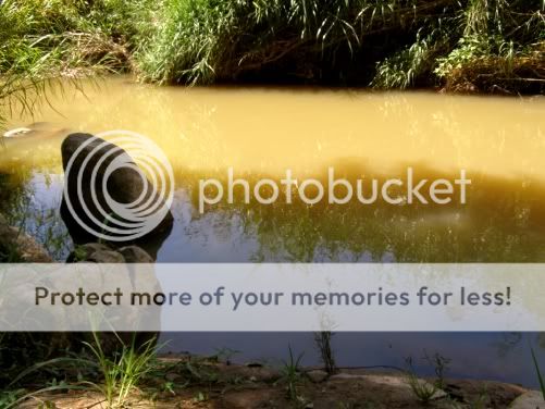 P3190236.jpg picture by backpackervn