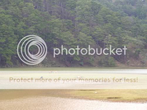 P3190276.jpg picture by backpackervn