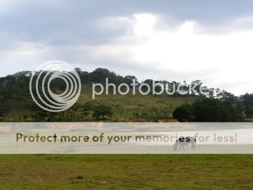 P3190298.jpg picture by backpackervn