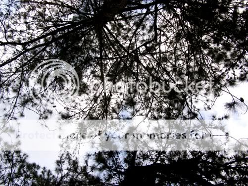 P3190304.jpg picture by backpackervn