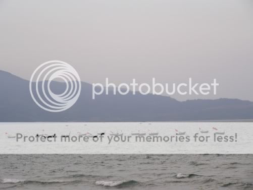 P3220095.jpg picture by backpackervn