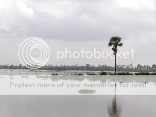 P4050288.jpg picture by backpackervn