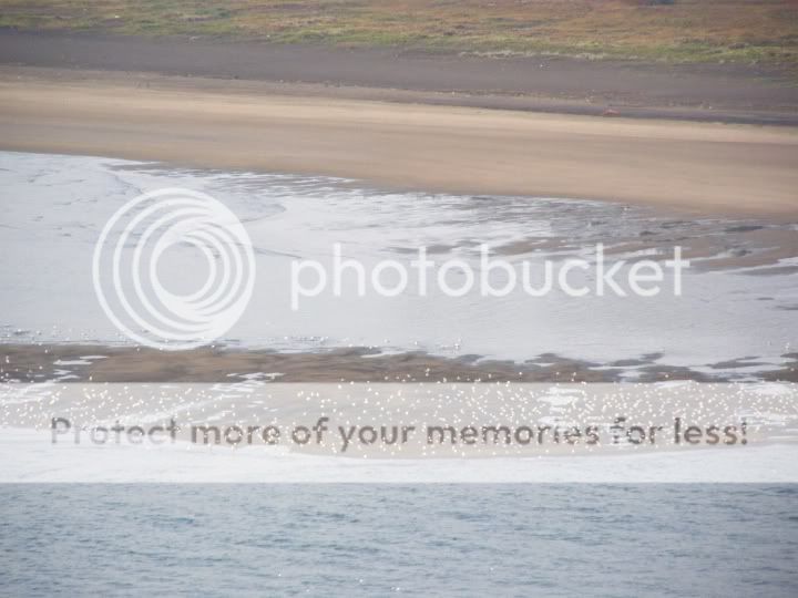 PC020065.jpg picture by backpackervn