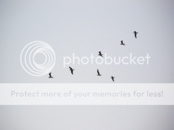 PC020131.jpg picture by backpackervn