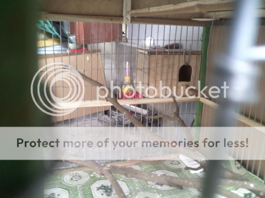 Chia sẻ cùng các BÁc tác phẩm em mới làm..