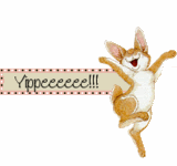 Yipeee.gif