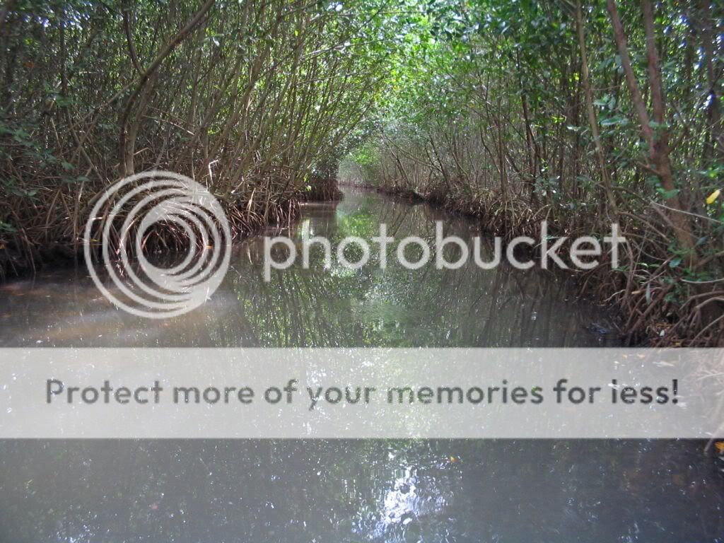 cienaga_8.jpg image by jes_dav